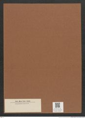 Diatomeae indet. Zeichnungen Sammlung Grunow Mappe 02306 (Herbarium_W_Grunow_drawings_Folder_02306)